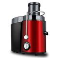Multifunctional 2-Speed Slow Juicer with Juice Container