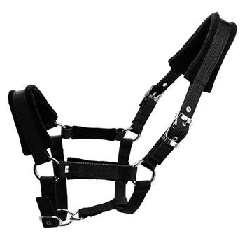 Padded Horse Halter 25mm - Size S - Black