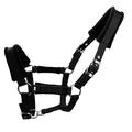 Padded Horse Halter 25mm - Size XS - Black