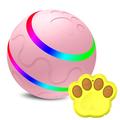 USB Rechargeable LED Self-Playing Pet Toy Ball with Remote Control