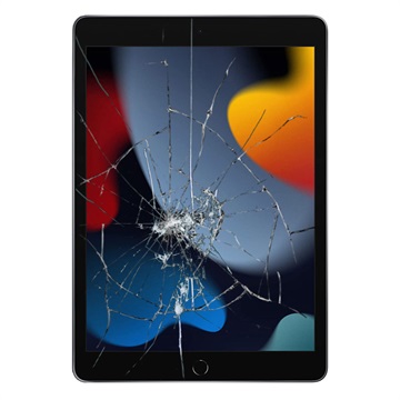 iPad Air Display Glass & Touch Screen Repair - Black